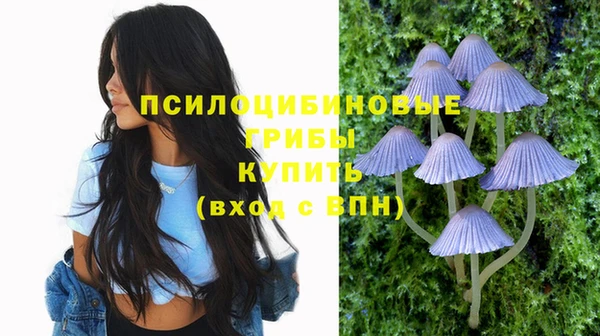 кокс Кулебаки
