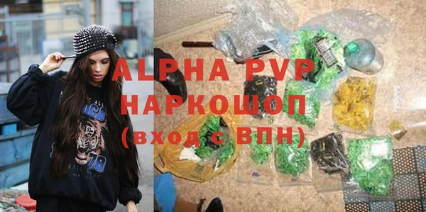 СК Куйбышев