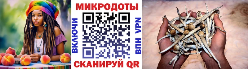купить  сайты  Кумертау  Псилоцибиновые грибы прущие грибы 